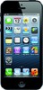 Apple iPhone 5 64GB - Новоалтайск